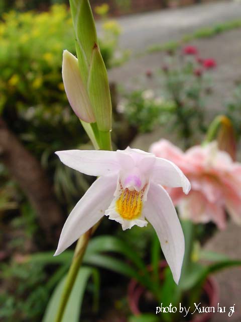 sany0228_672.jpg