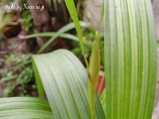 sany0230_260.jpg