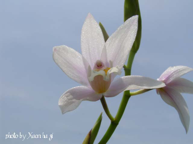 sany0268_119.jpg