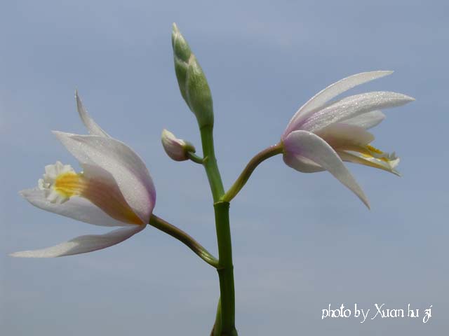 sany0269_142.jpg