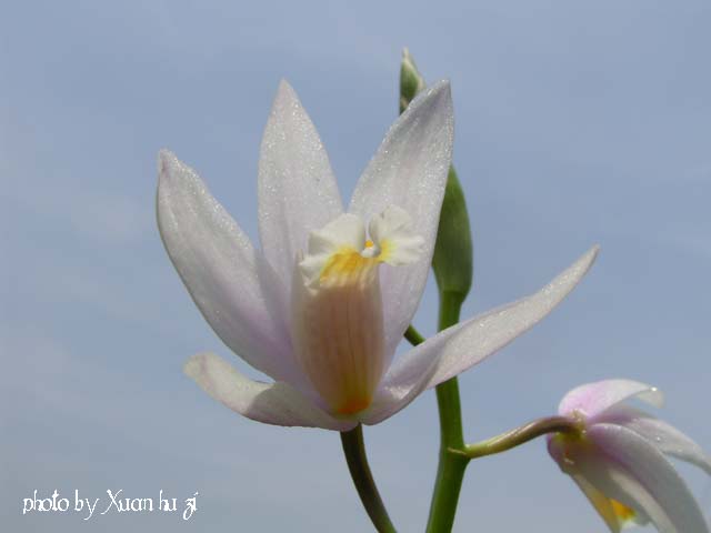sany0270_694.jpg