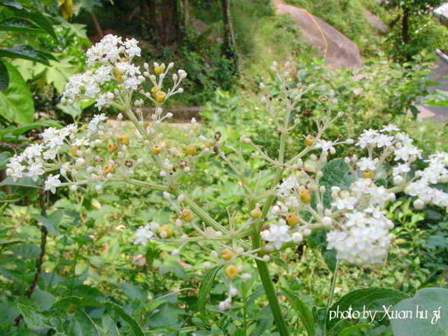 sany0356_145.jpg