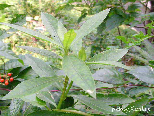 sany0357_169.jpg