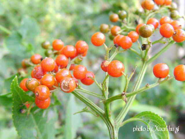sany0359_107.jpg