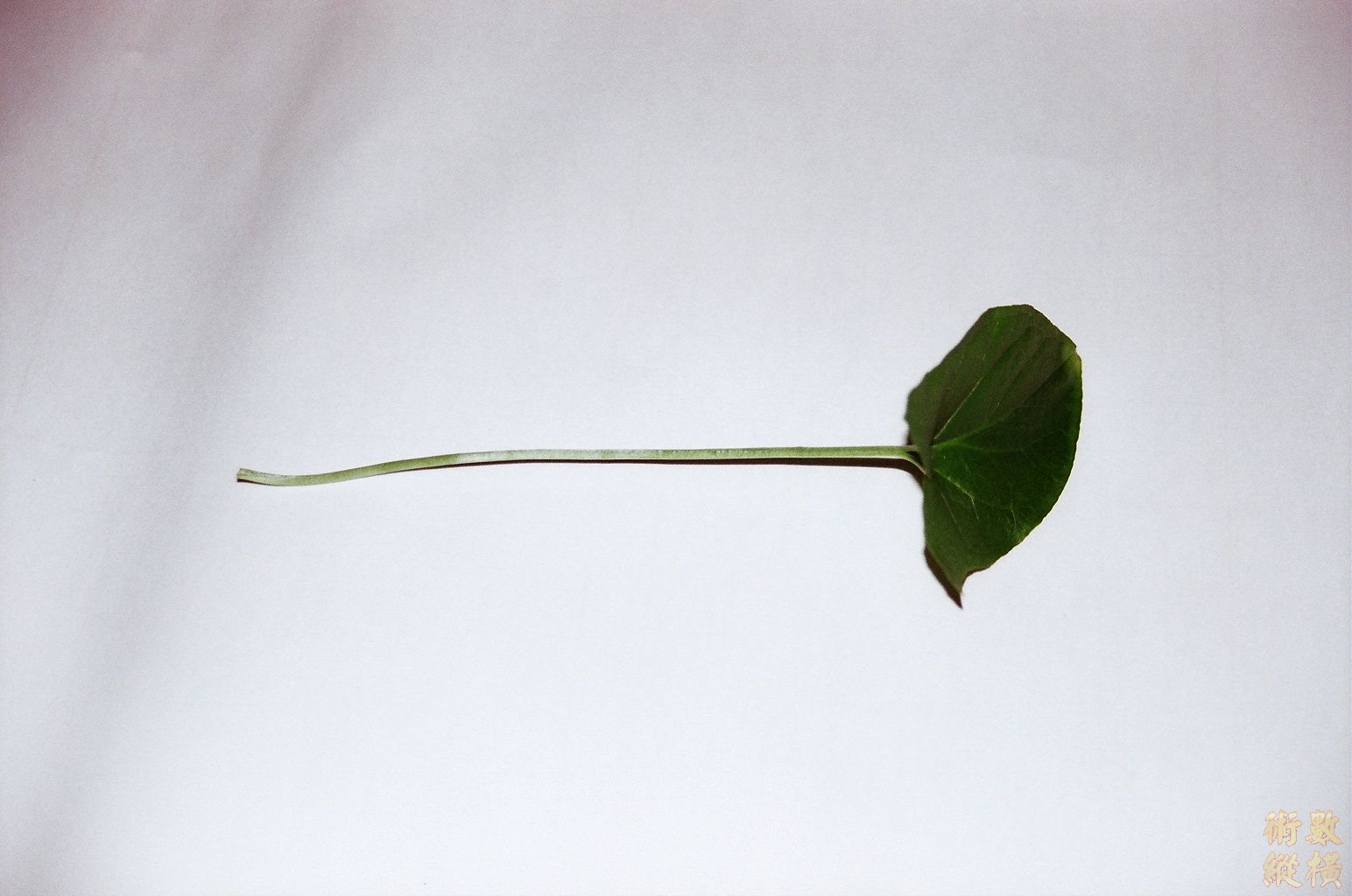 照片 003.jpg