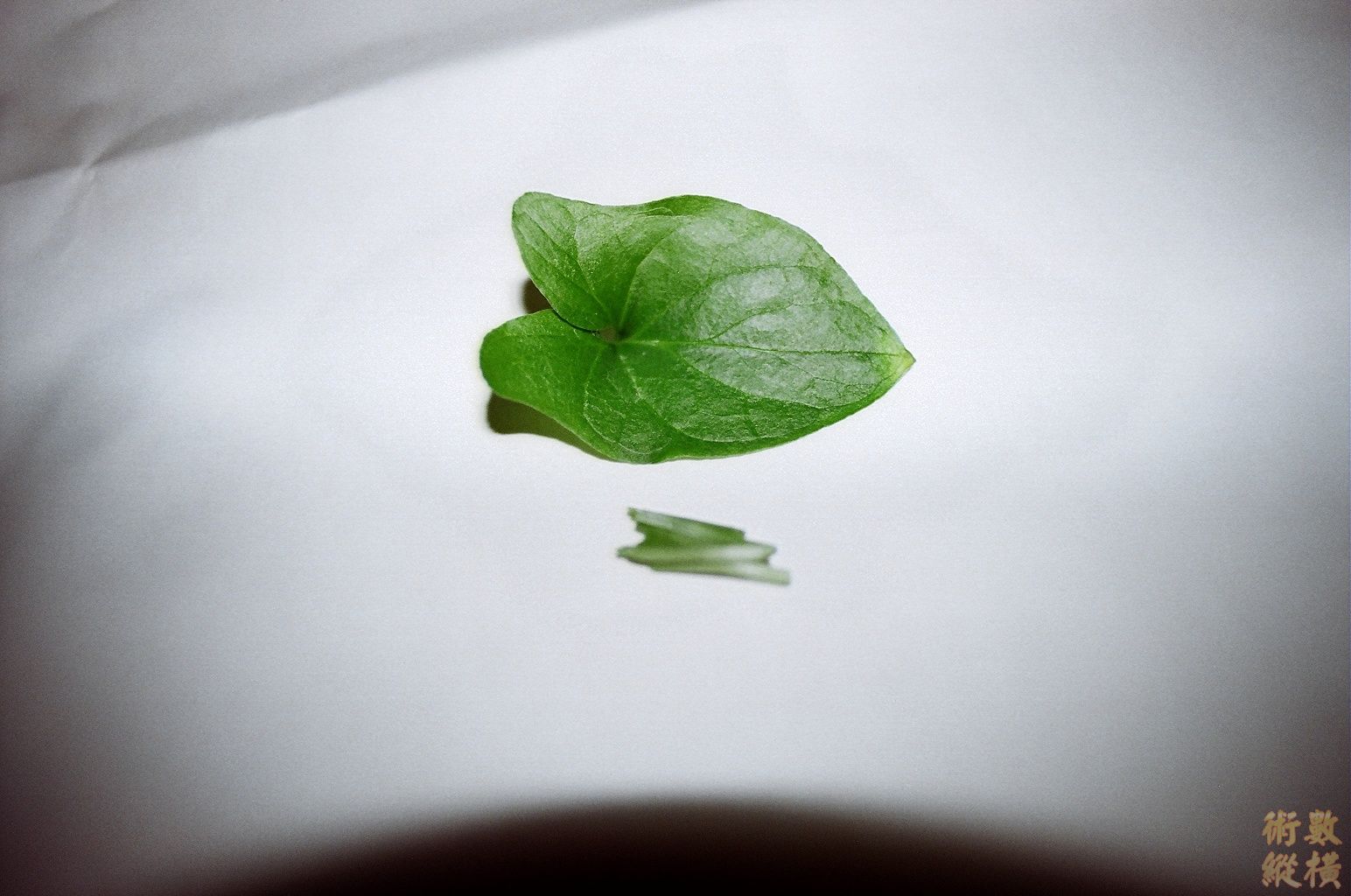 照片 005.jpg