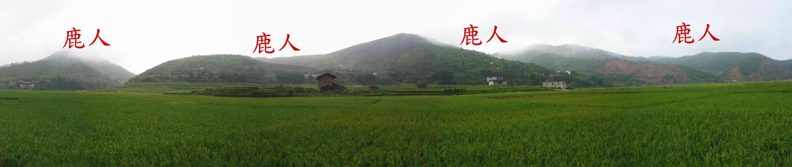 01.JPG