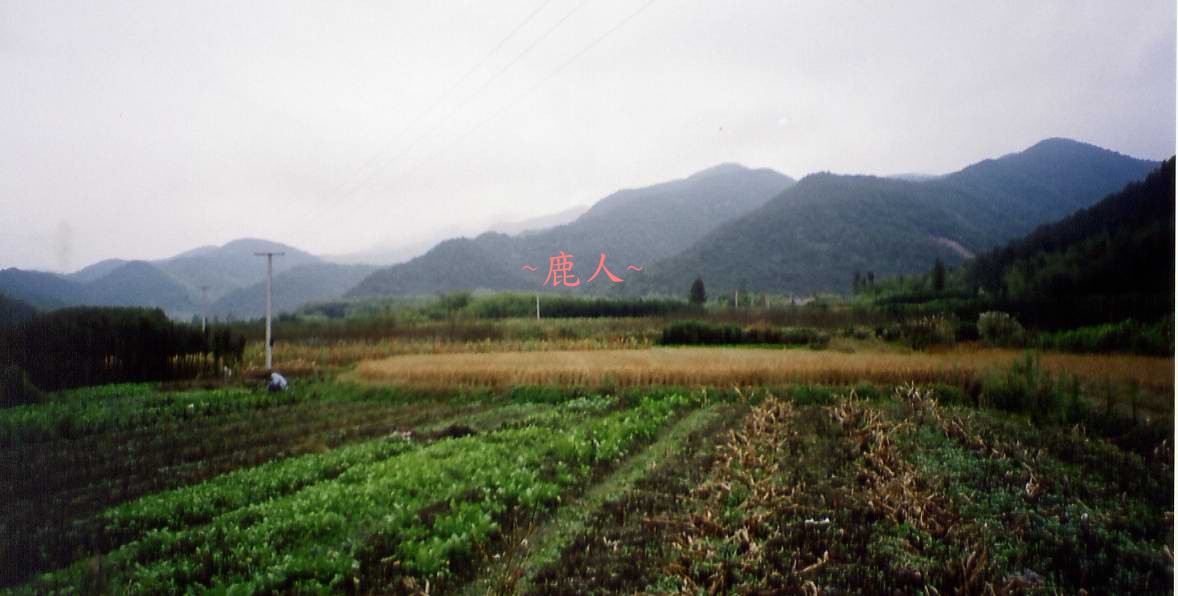 111(D)_9.jpg
