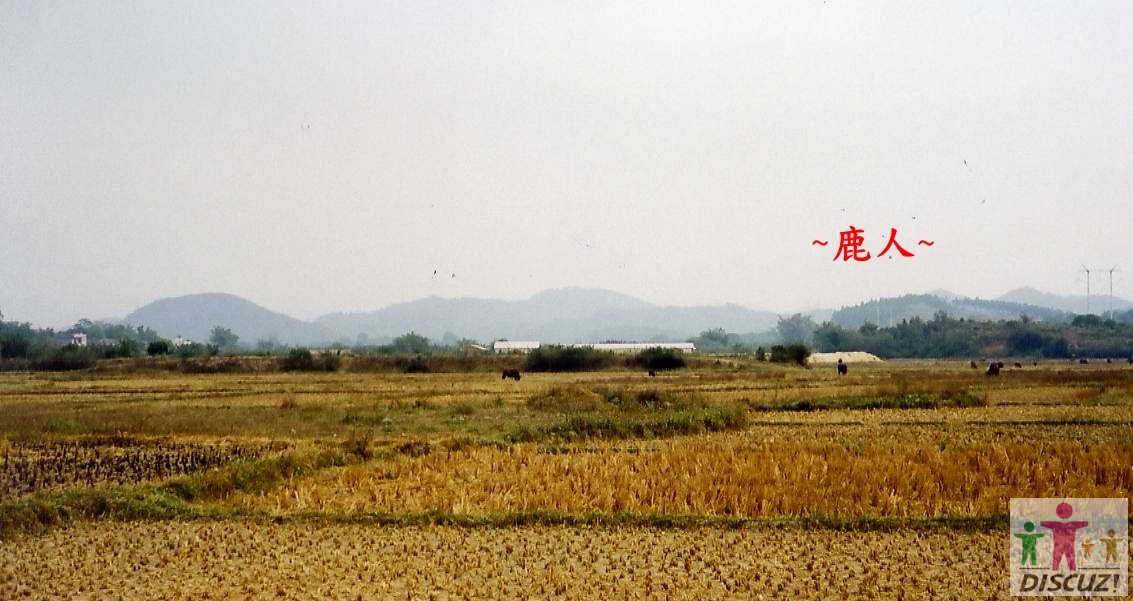 1A.jpg