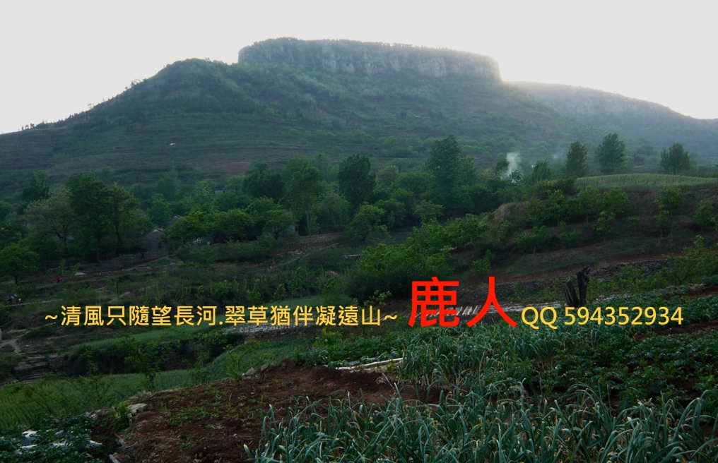 崮_212.JPG