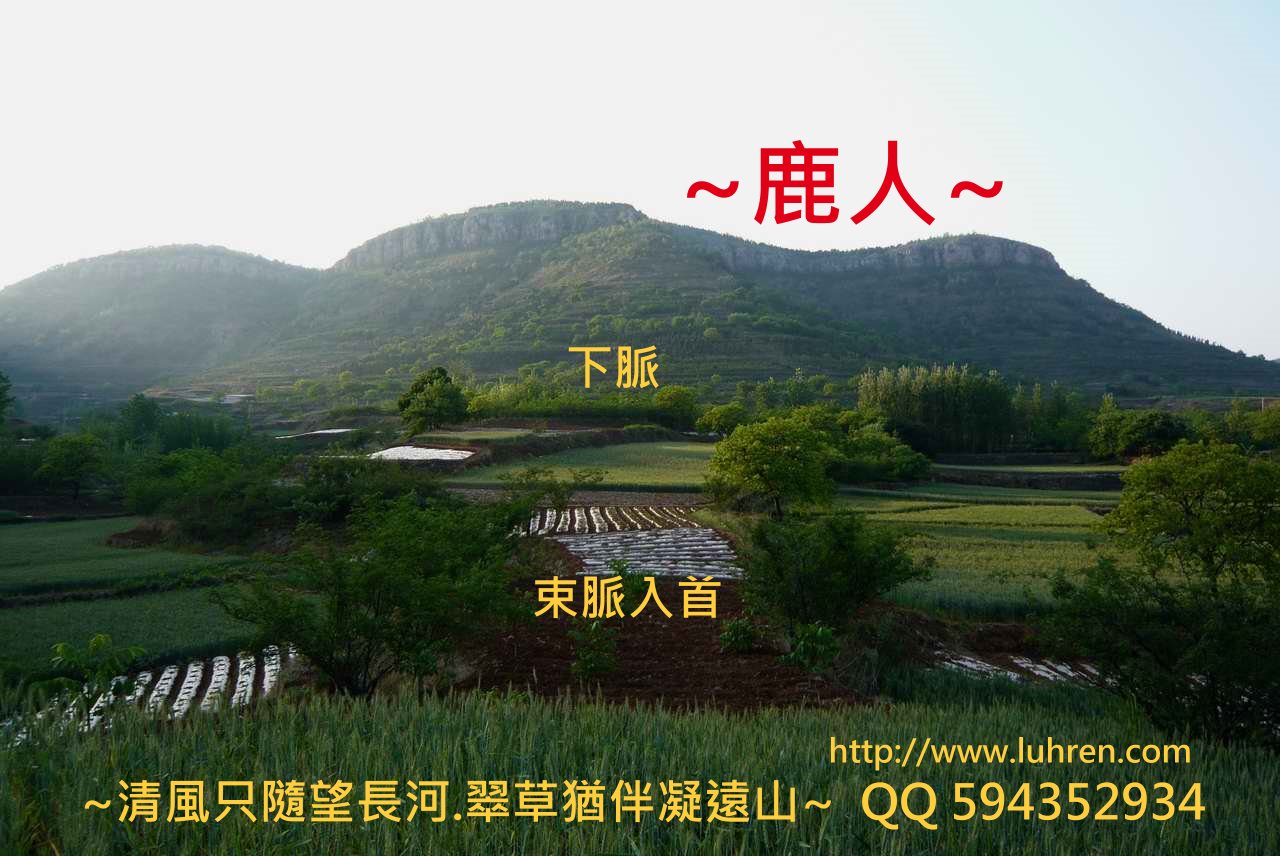 崮中下脈_3.JPG