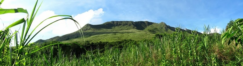 201007~1.JPG