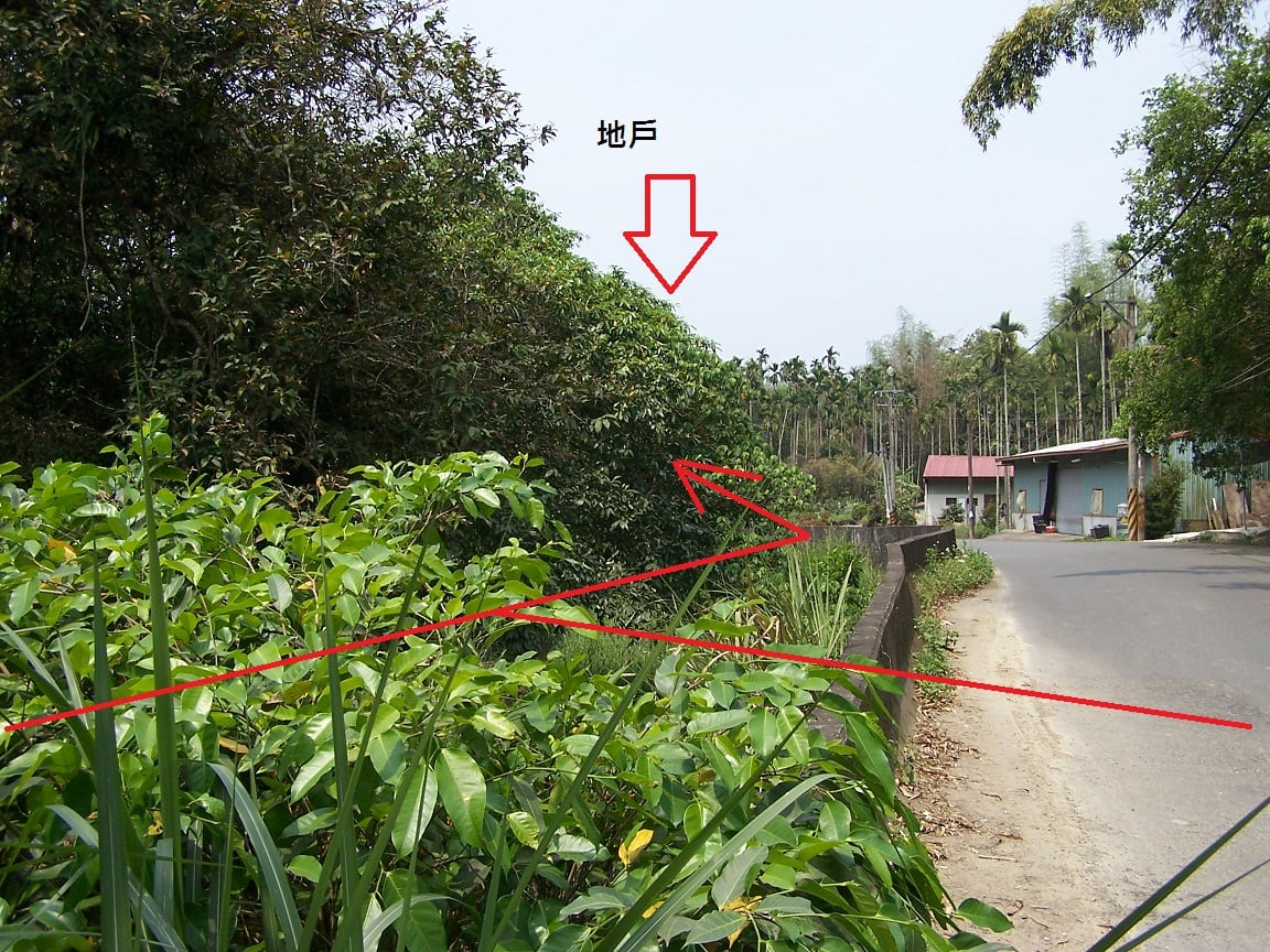 20.jpg