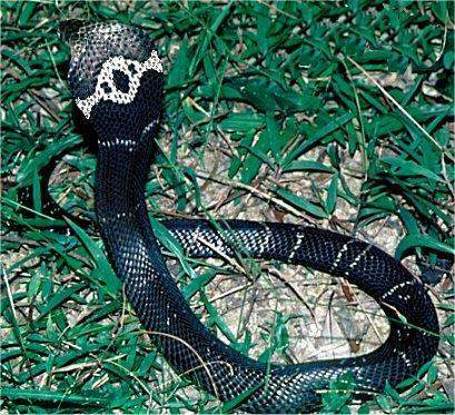592781.jpg