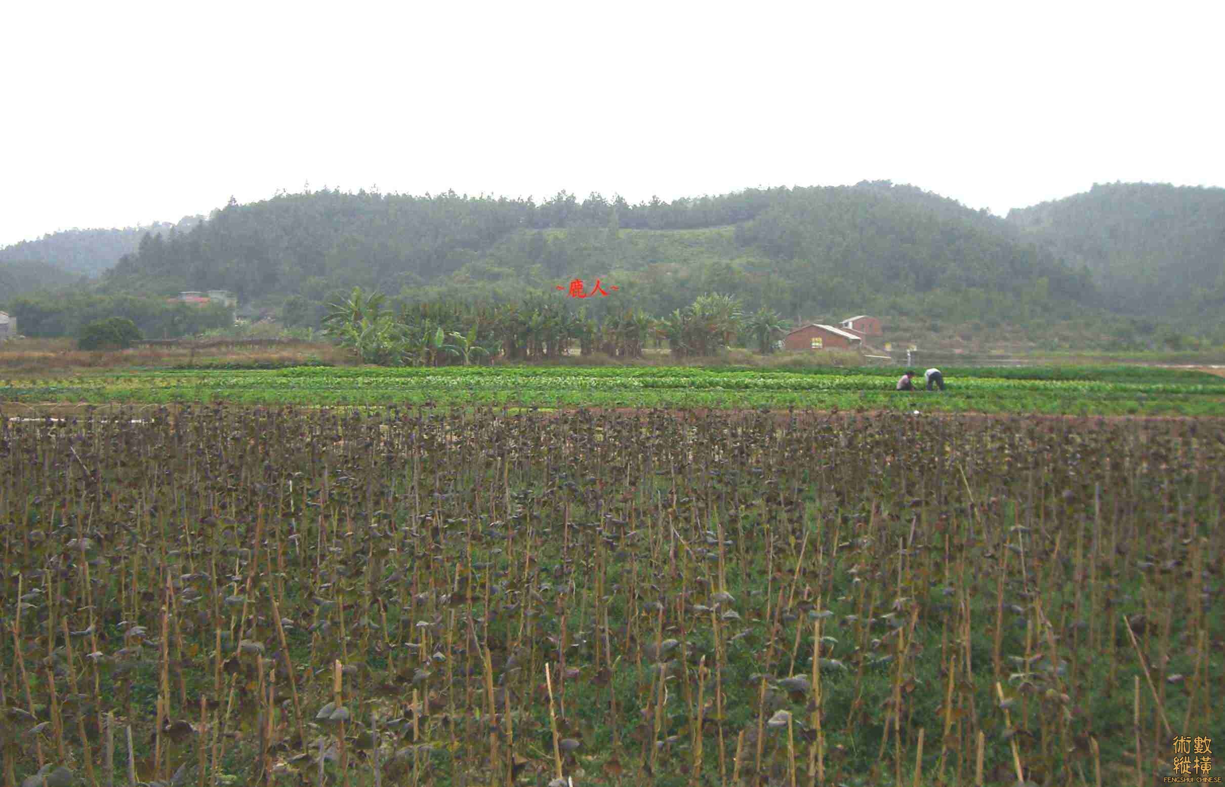 CIMG0149.JPG