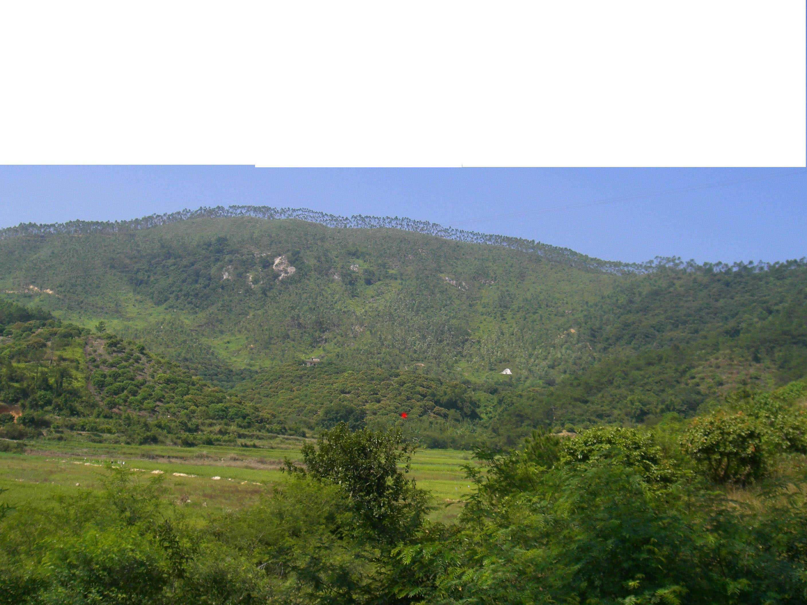 CIMG2092_30A1TkToF0c7.jpg