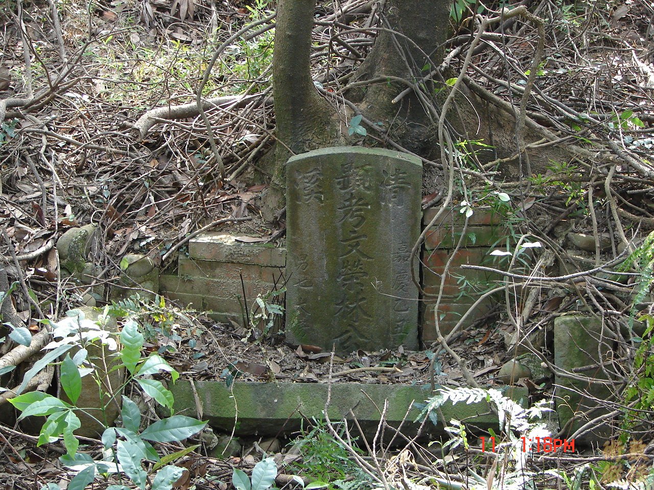 DSC00087.JPG