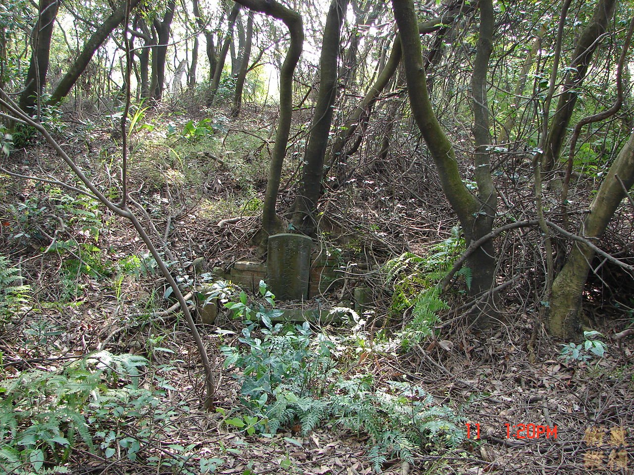 DSC00091.JPG