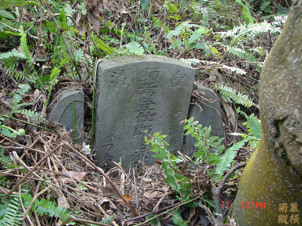 DSC00094.JPG