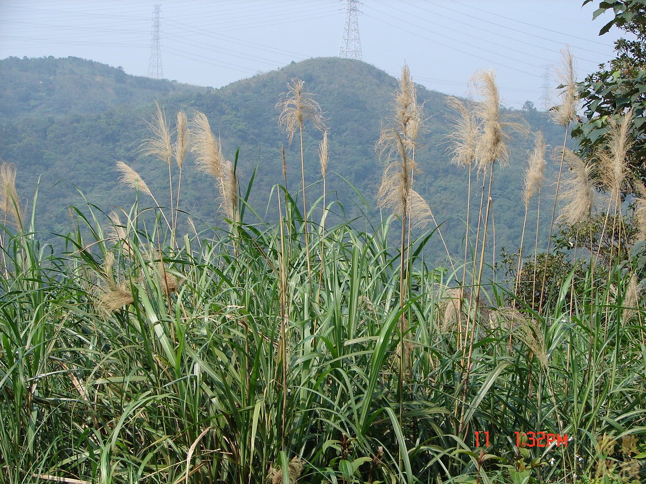 DSC00095.JPG