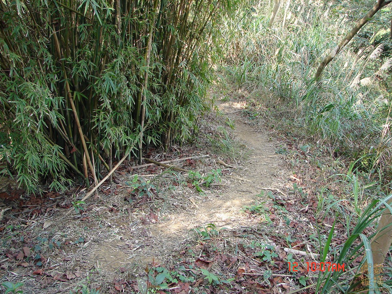 DSC00133.JPG