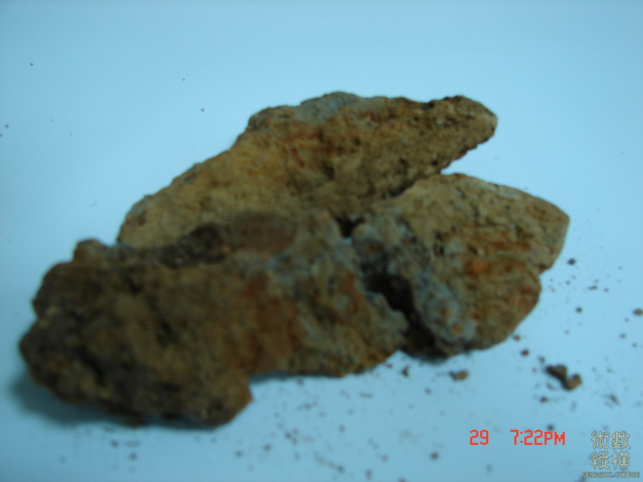 DSC00266.JPG