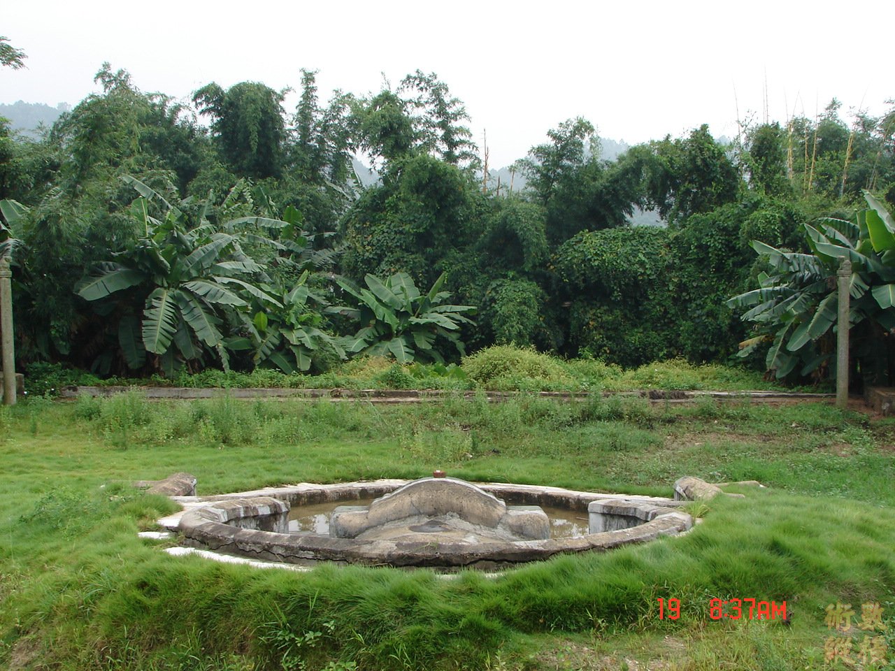 DSC00620.JPG