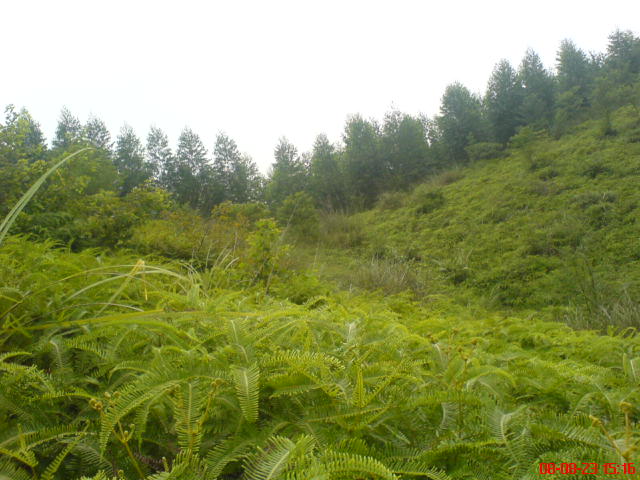 DSC00901.JPG