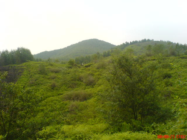 DSC00902.JPG