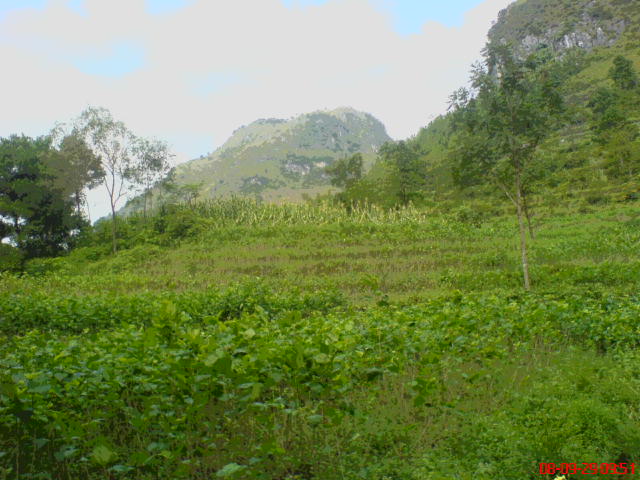 DSC00905.JPG