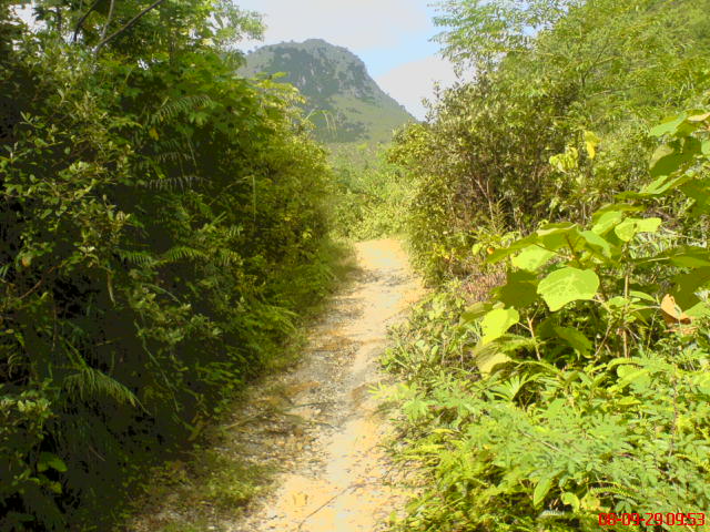 DSC00906.JPG