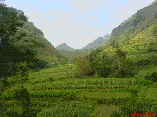 DSC00907.JPG