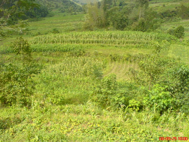 DSC00909.JPG