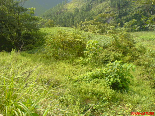 DSC00910.JPG
