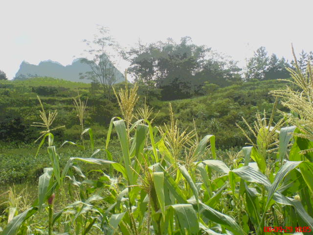 DSC00913.JPG