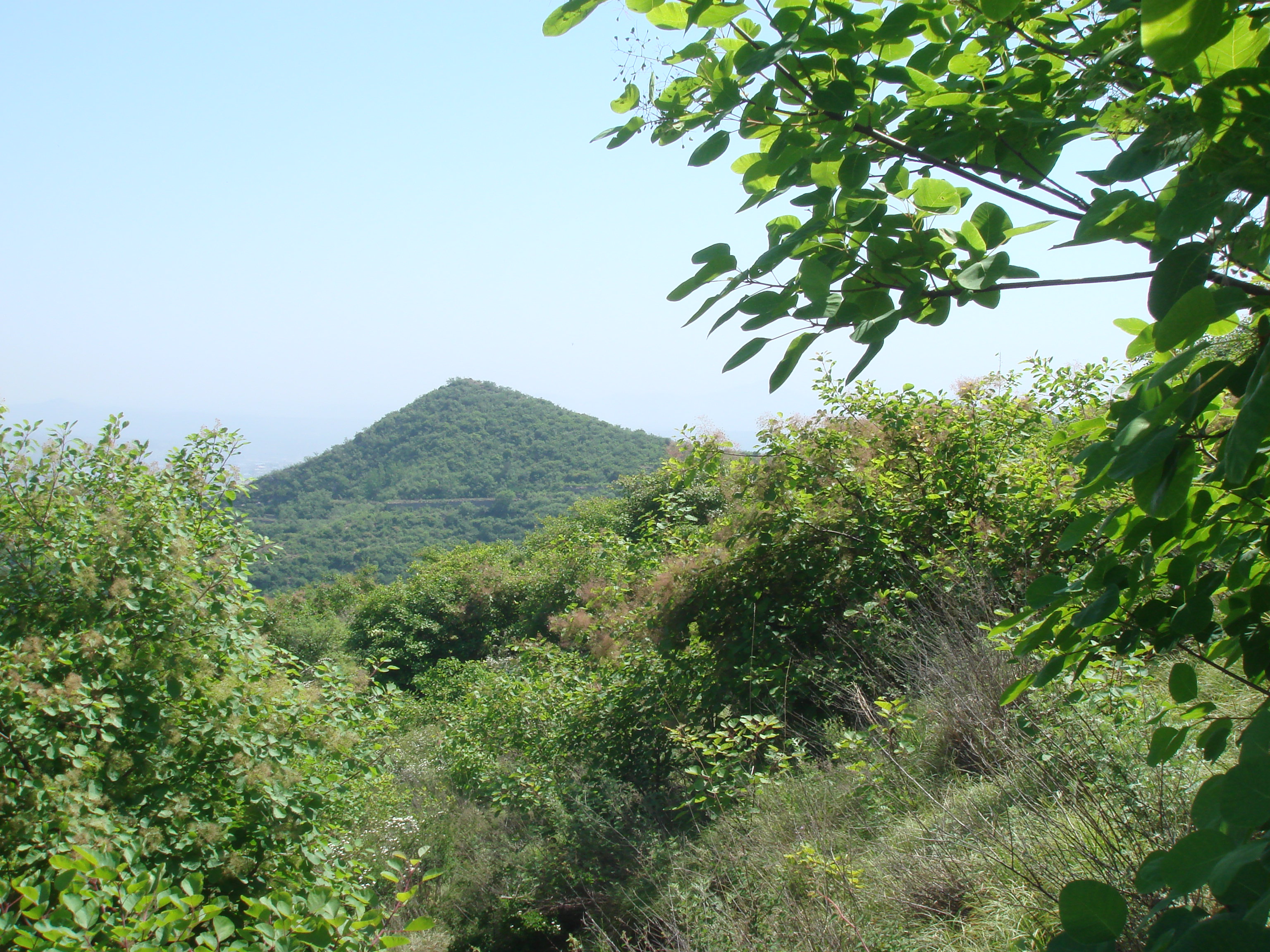 DSC02123.JPG