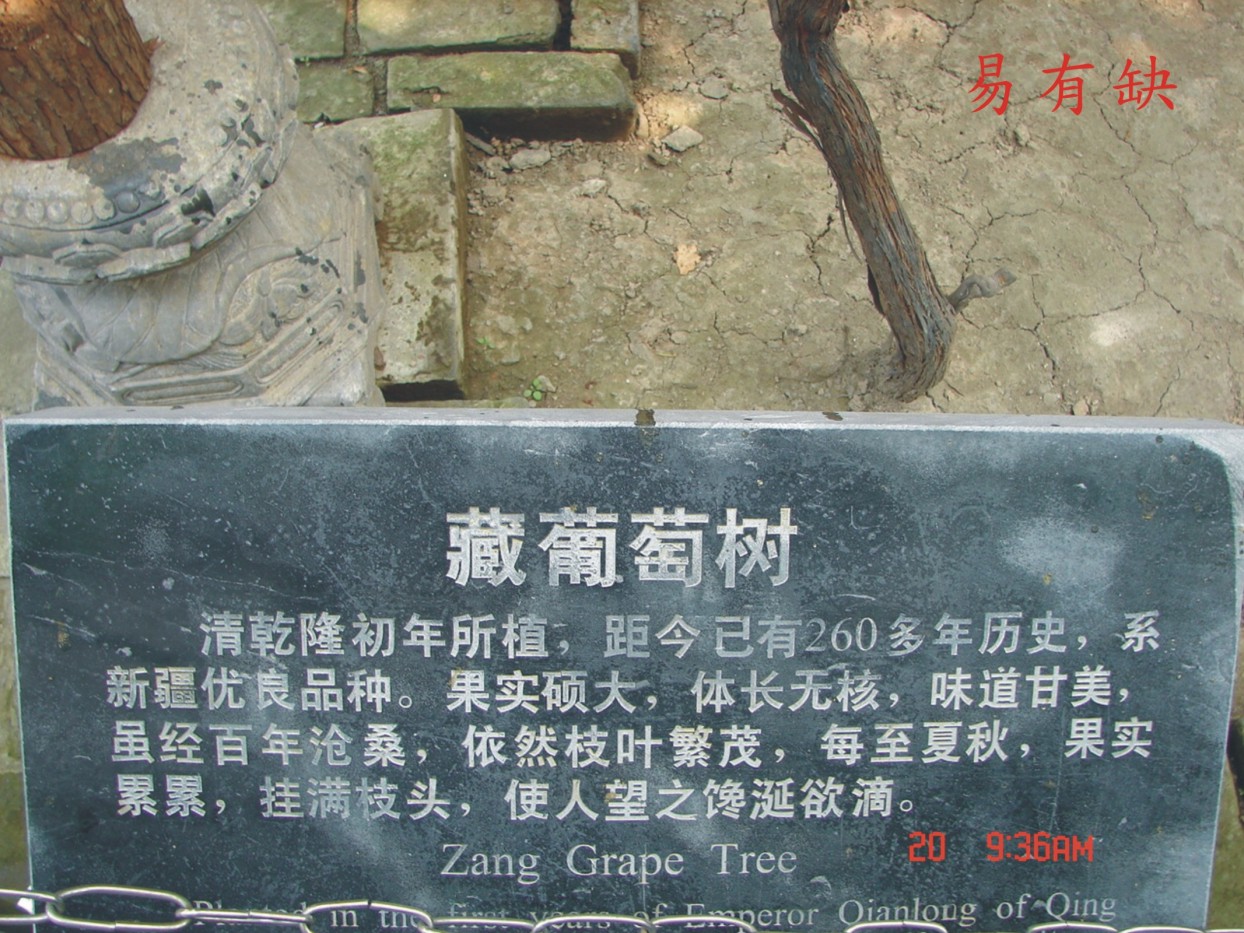 DSC04841W1.jpg