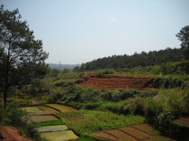 DSCN0016.JPG