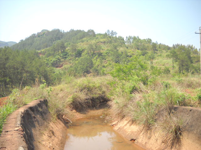 DSCN0017.JPG
