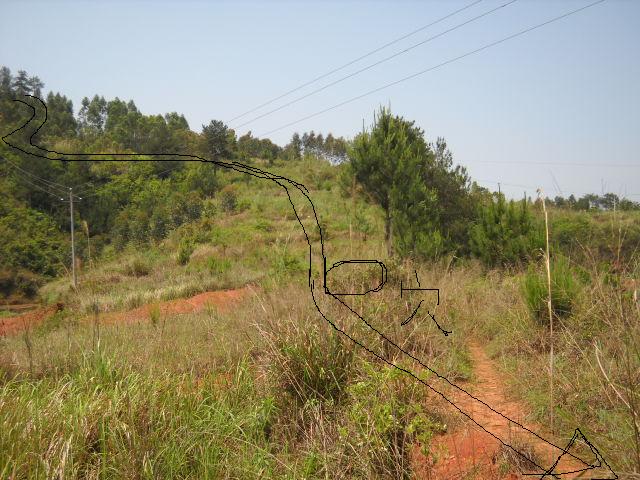 DSCN0026.JPG
