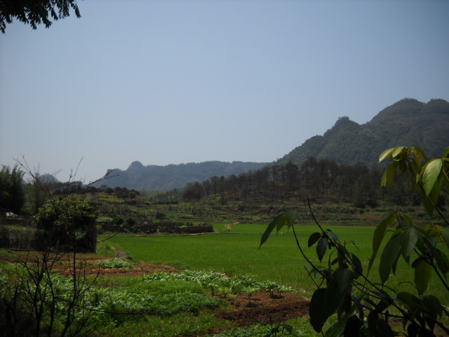 DSCN0031.JPG