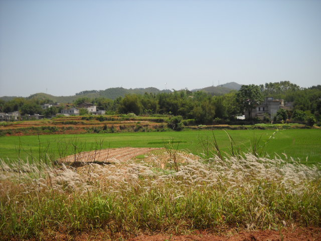 DSCN0035.JPG