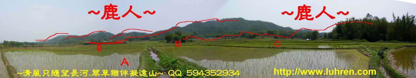 D.JPG