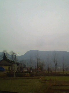 IMG0026A.jpg