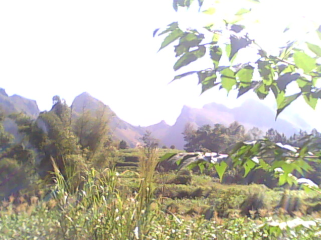 IMG0187A.jpg