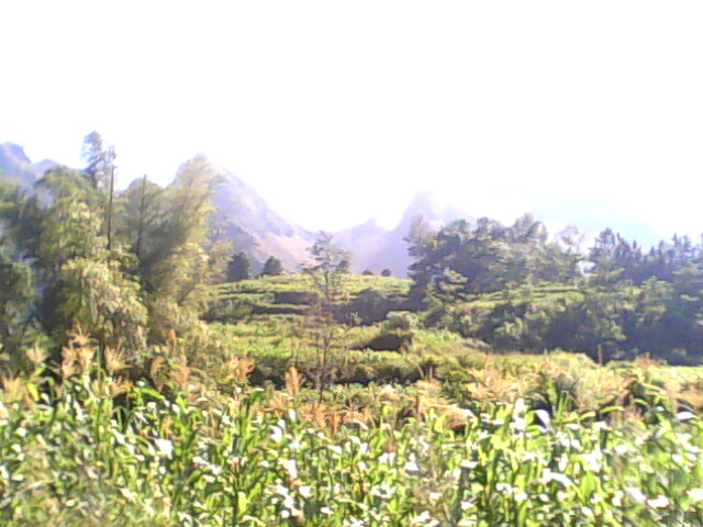 IMG0188A.jpg