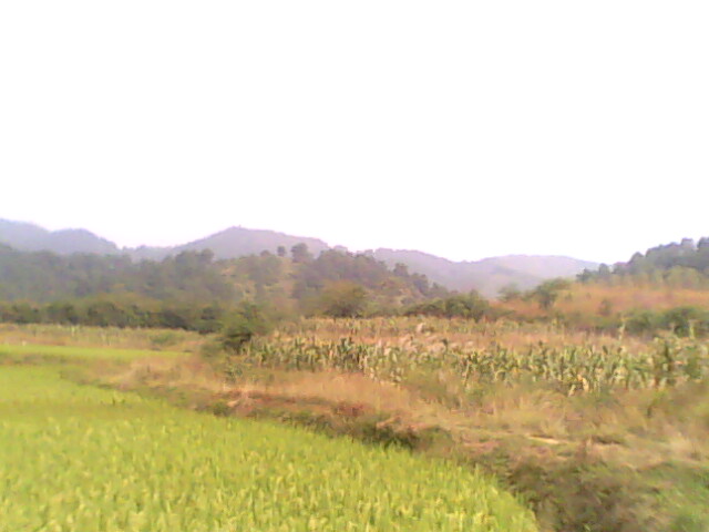IMG0192A.jpg