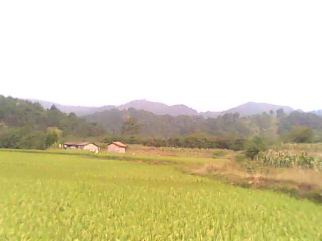 IMG0193A.jpg