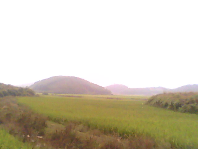 IMG0195A.jpg