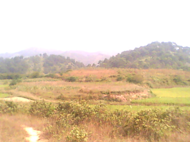 IMG0197A.jpg